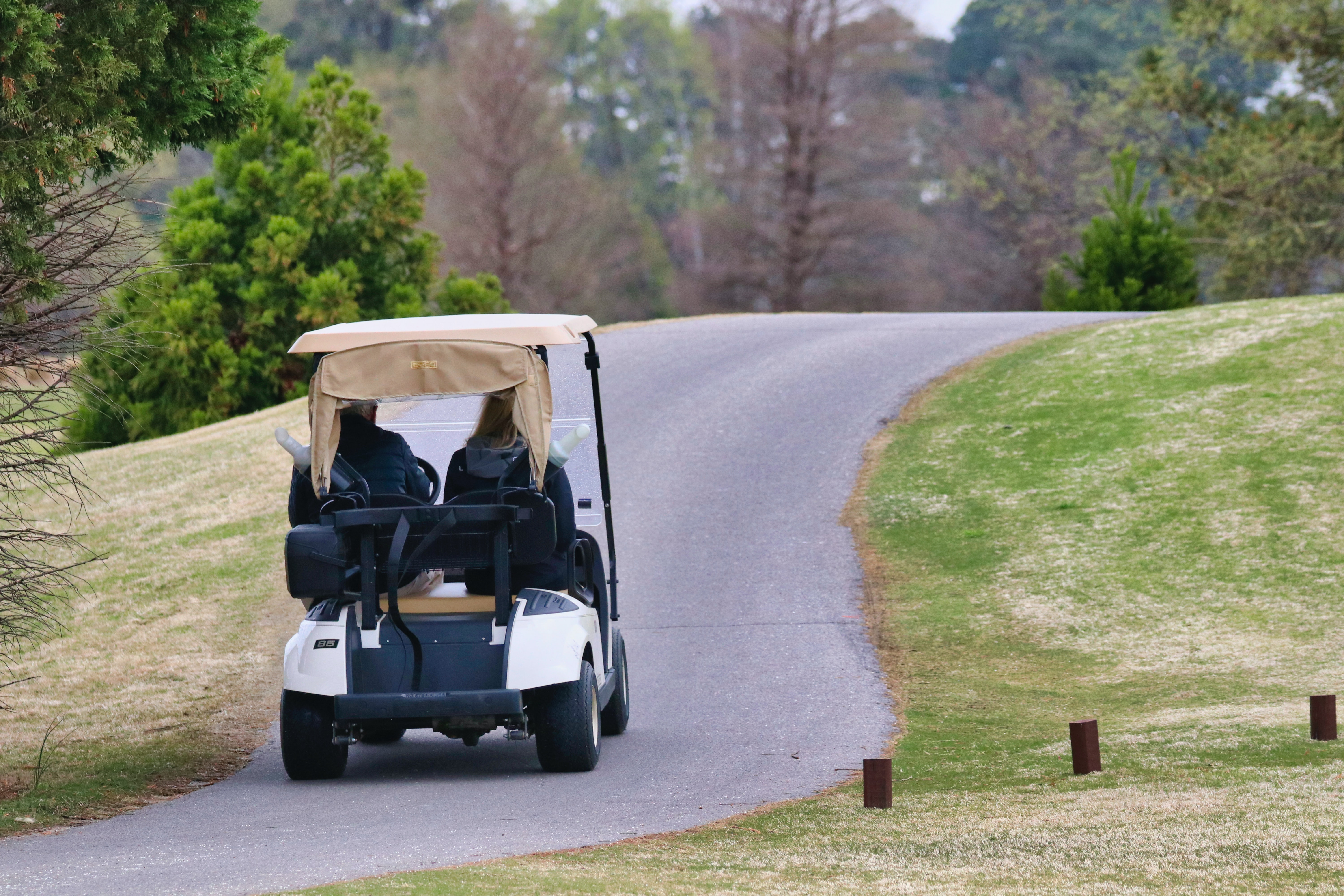 Golf Cart Accident